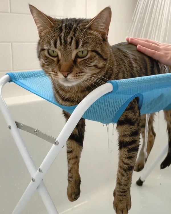 cat-bathing-warm
